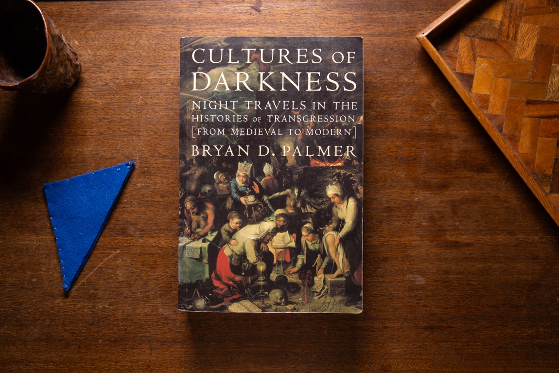 Cultures of Darkness  by Bryan D. Palmer