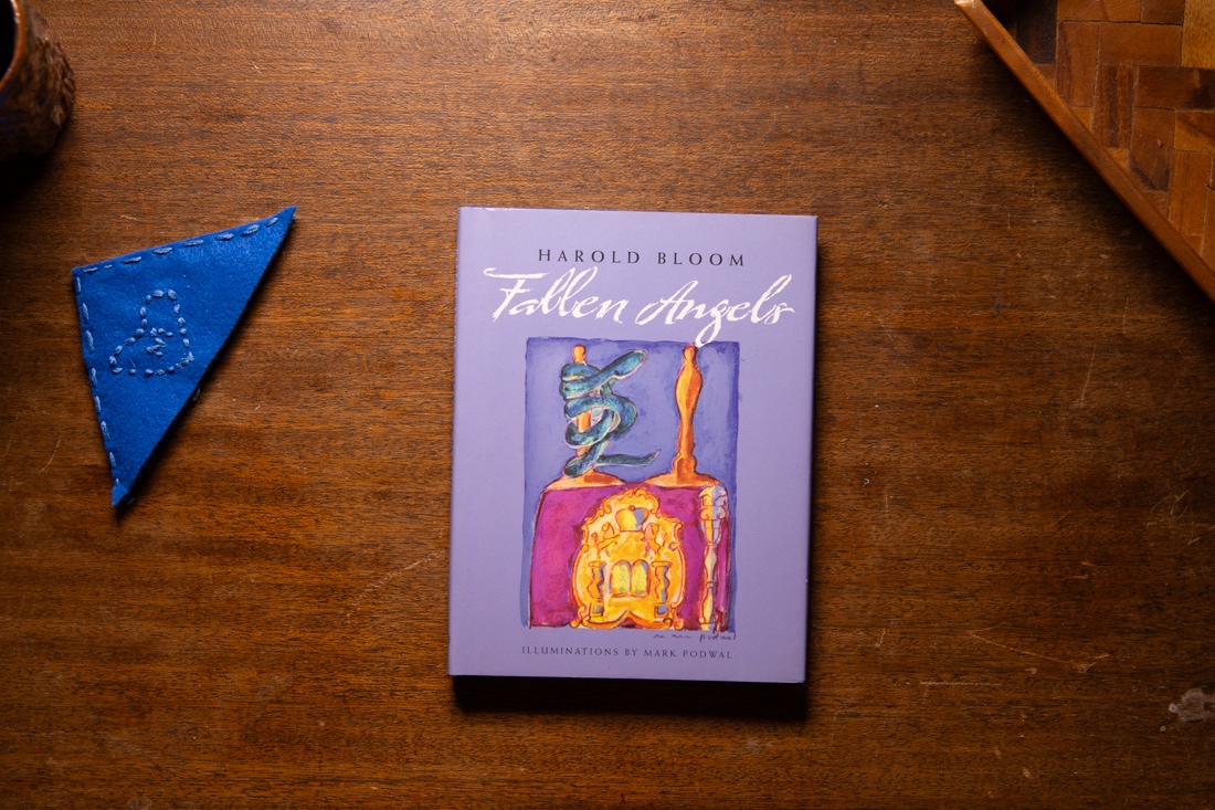 Fallen Angels  by Harold Bloom