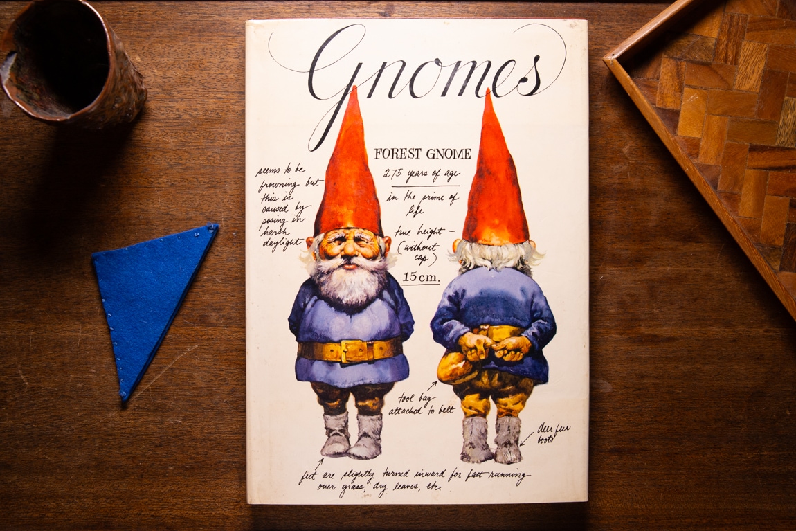 Gnomes  by Wil Huygen