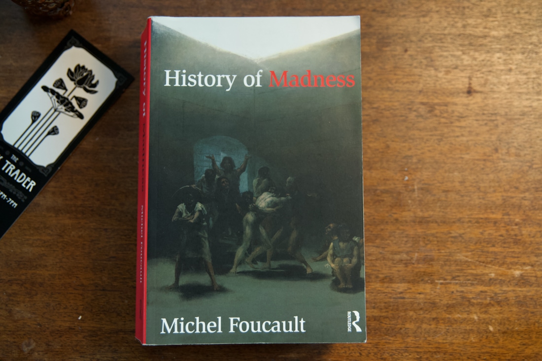 History of Madness  by Michel Foucault