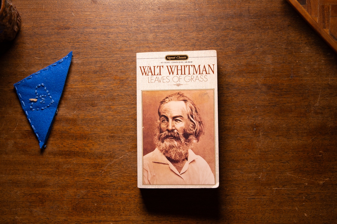 Leaves of Grass  by Walt Whitman