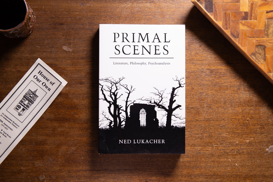 Primal Scenes  by Ned Lukacher