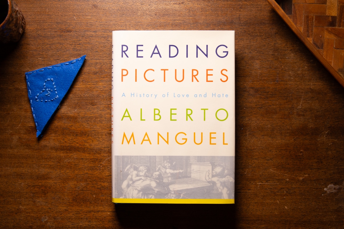 Reading Pictures  by Alberto Manguel