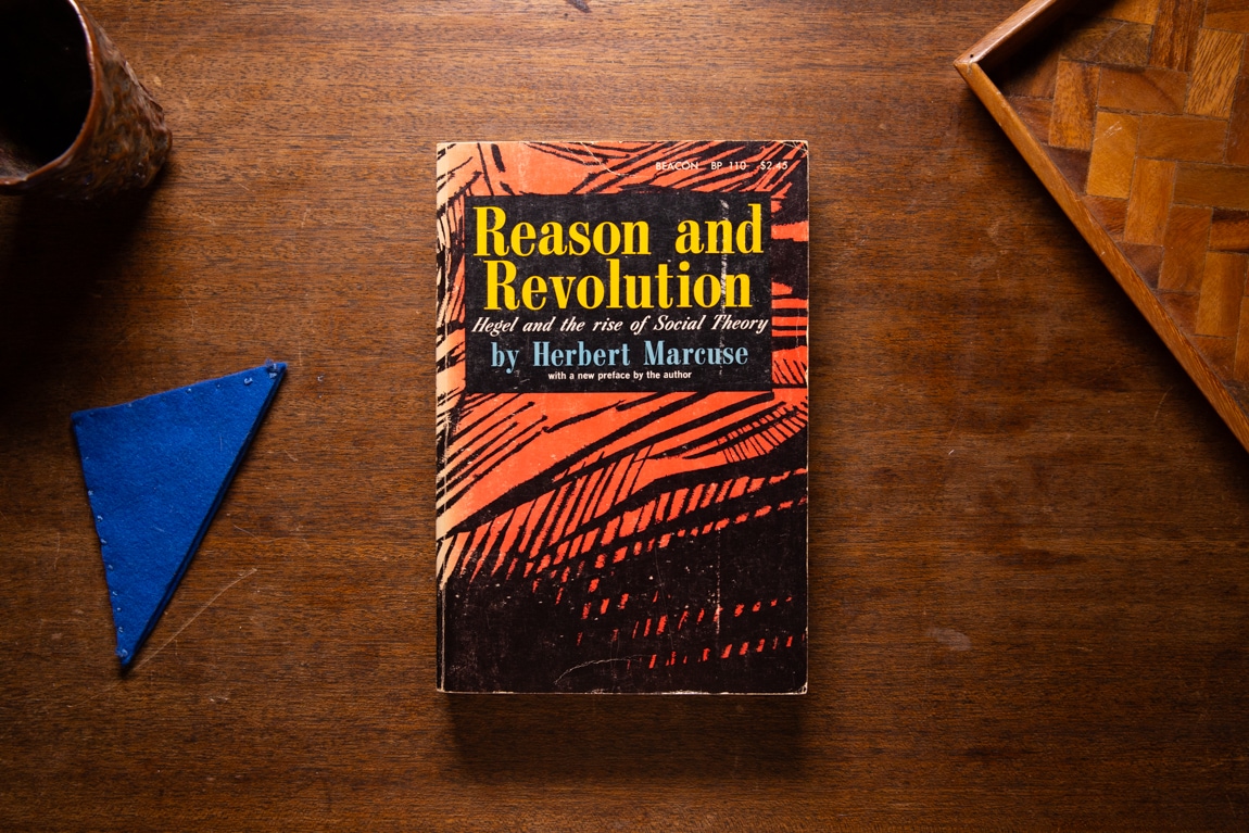 Reason and Revolution  by Herbert Marcuse