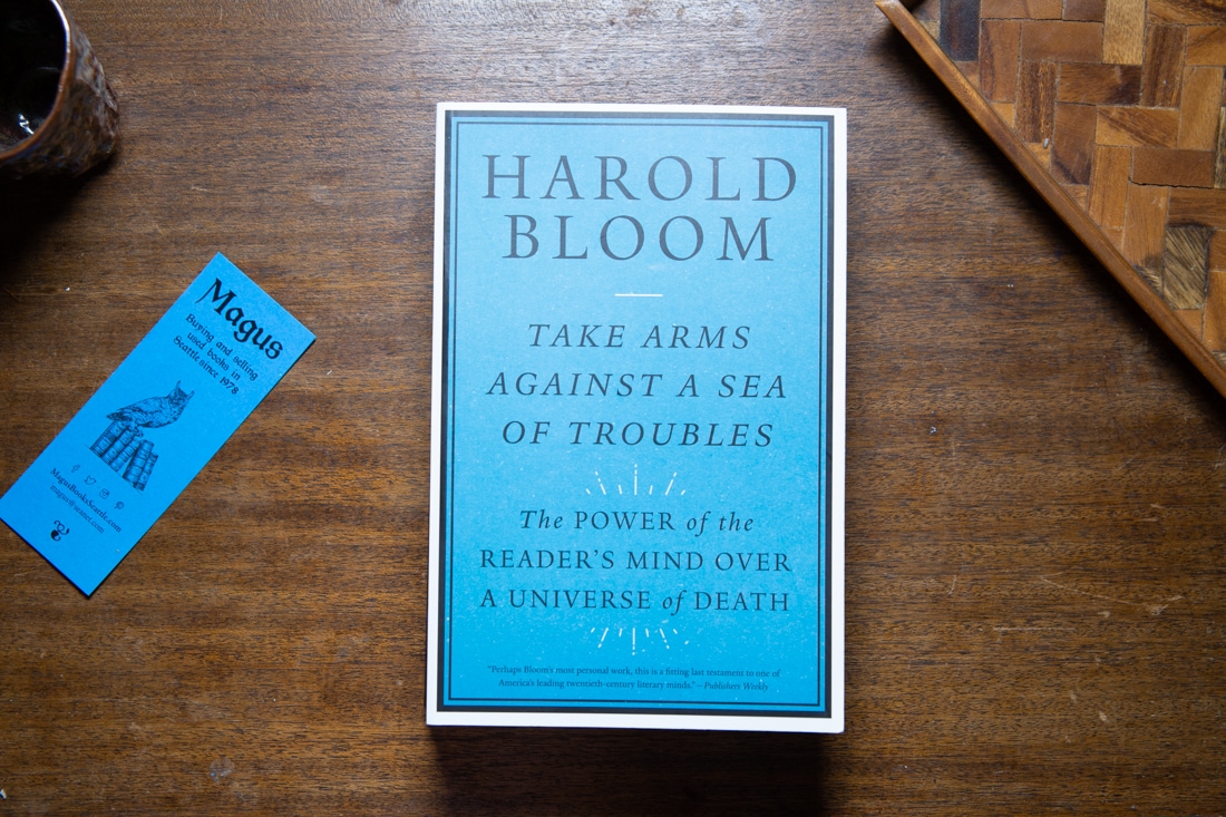 Take Arms Against a Sea of Troubles  by Harold Bloom