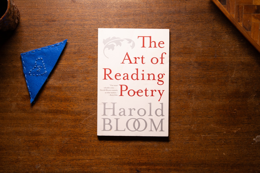 The Art of Reading Poetry  by Harold Bloom