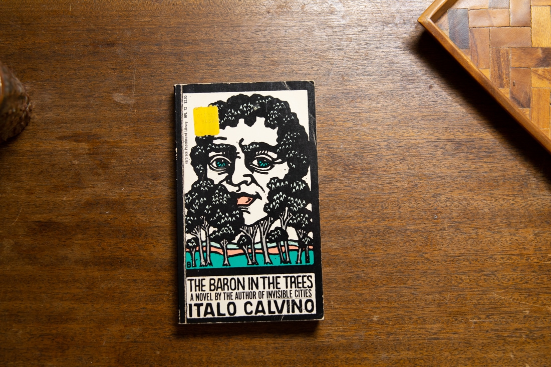 The Baron In The Trees  by Italo Calvino