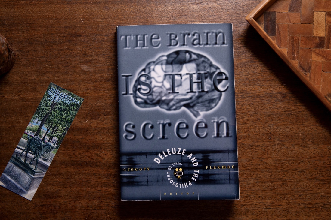 The Brain Is The Screen edited by Gregory Flaxman