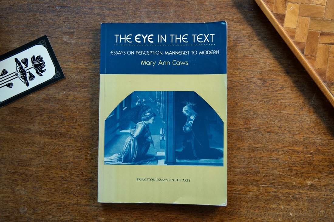 The Eye in the Text  by Mary Ann Caws