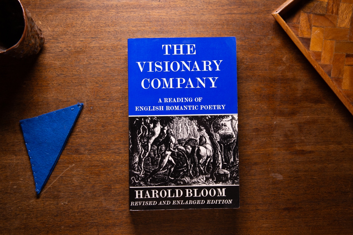 The Visionary Company  by Harold Bloom