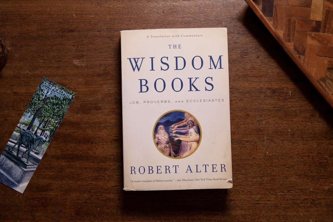 The Wisdom Books  by Robert Alter